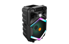 Boxa Portabila AT PERFORMANCE®, cu Lumini RGB, Putere 100W, MP3, USB, Bluetooth, TF, WIFI, Slot Microfon, Karaoke, Acumulator, Negru